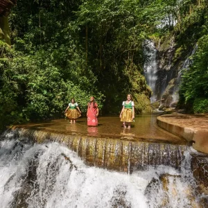 selva central